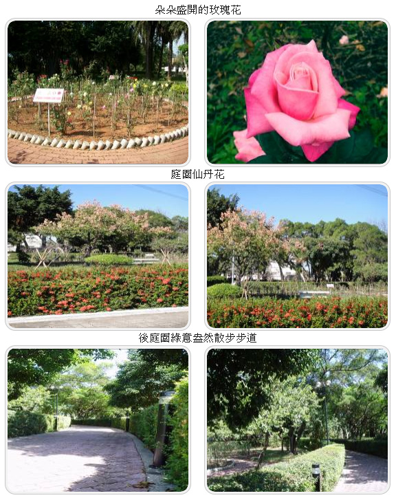 朵朵盛開的玫瑰花, 庭園仙丹花,後庭園綠意盎然散步步道