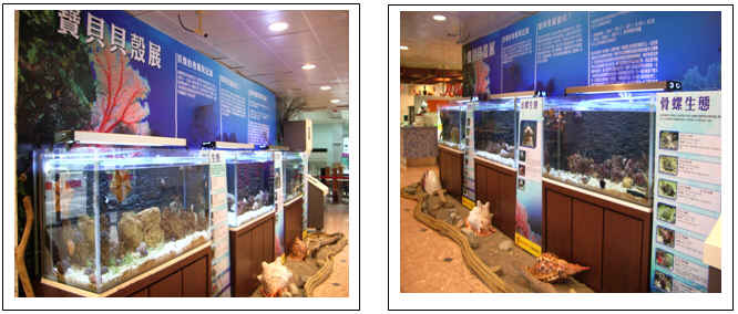 Treasure Shell Exhibition Area