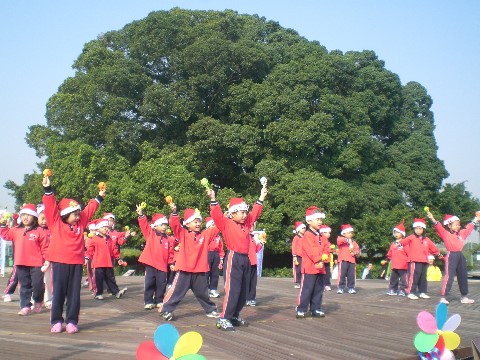榕樹舞台