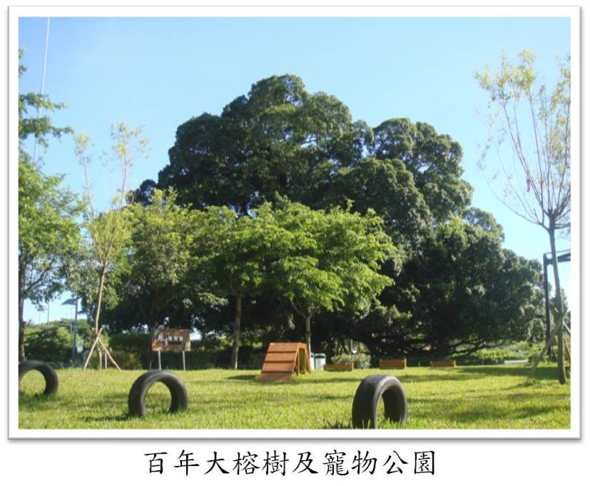 百年大榕樹及寵物公園