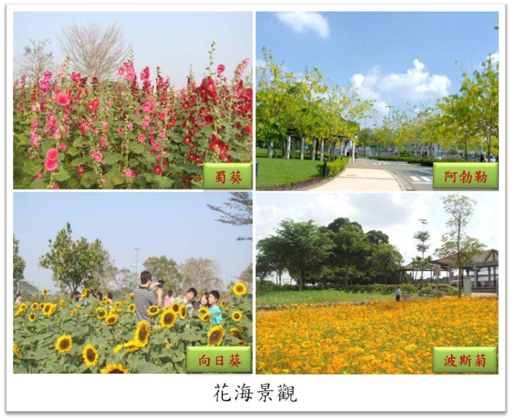 花海景觀