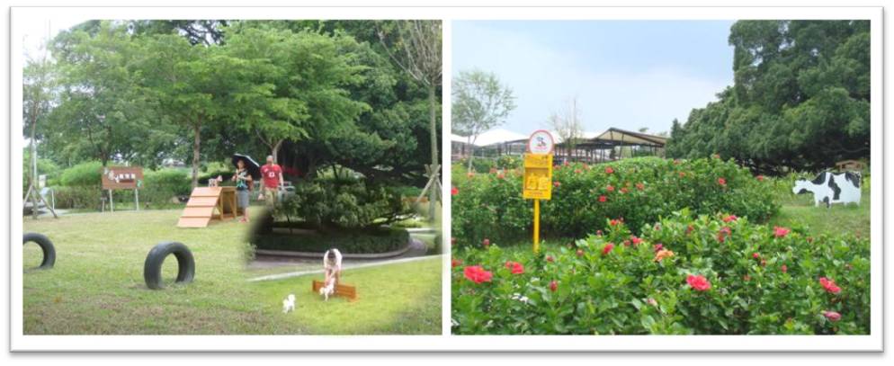 寵物公園