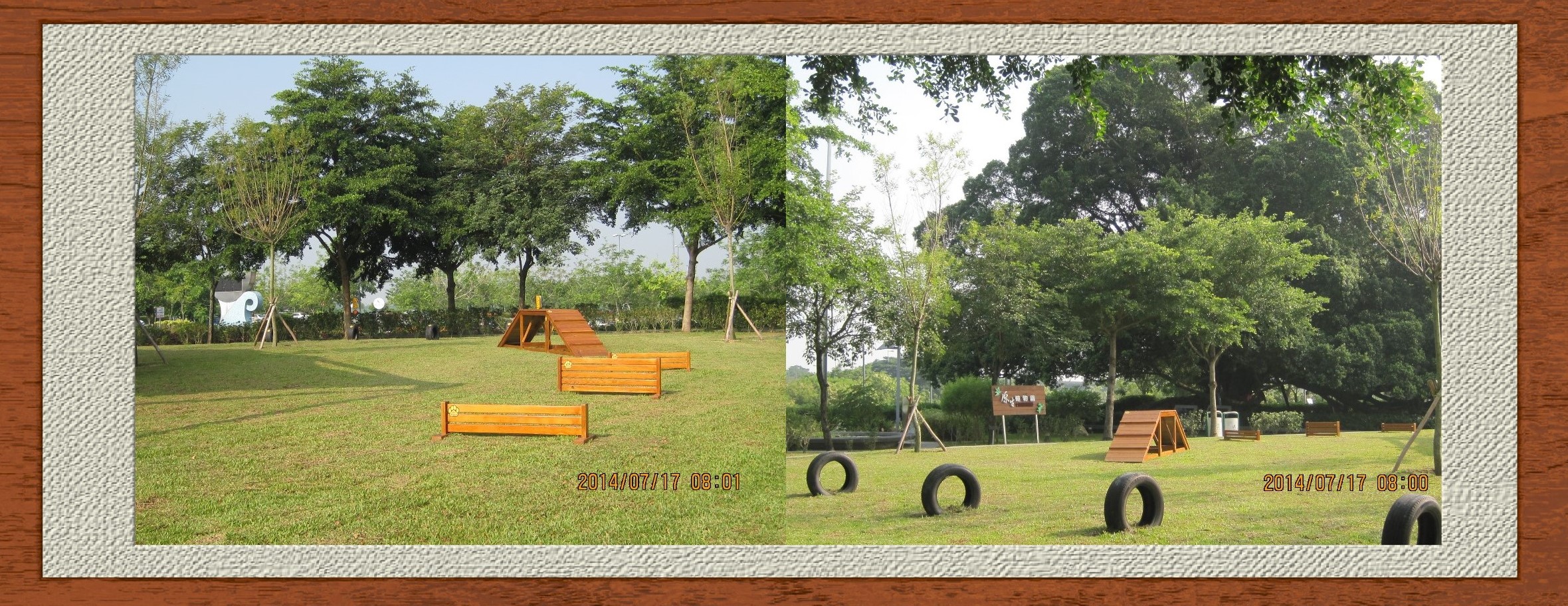 寵物(小型犬)公園