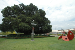 DSSR Public Art