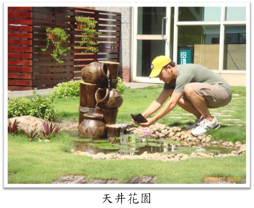 天井花園