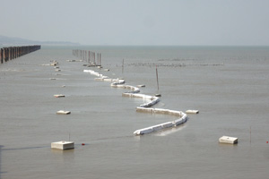 �����j���u�{�ìV���v���]�m