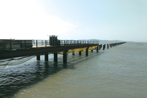 �����j���u�{�j���ݬI�u�̾��W�c