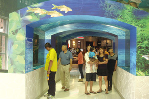 �F�s�A�ȰϫǤ����y���G�D���[