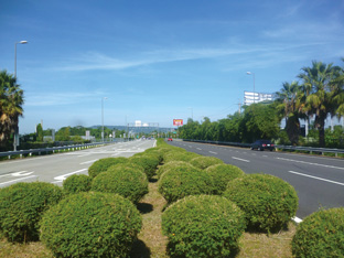 國道3號竹山交流道出、入口意象(1)-【鳳凰竹】