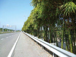 國道3號竹山交流道入口意象(4)-【葫蘆竹】