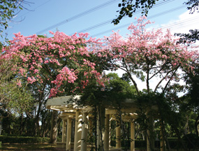 景色宜人之心靈公園