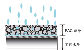 雨水滲透PAC面層