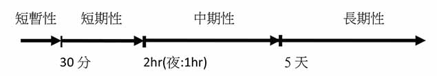 圖1