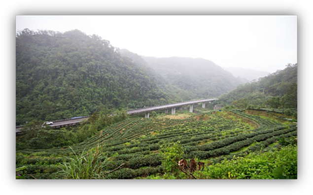 國道5號坪林1、2號高架橋