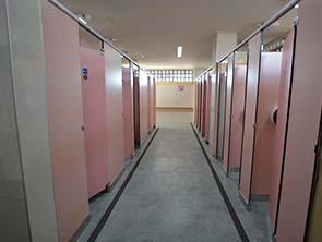 廁所改建後內裝