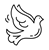鴿