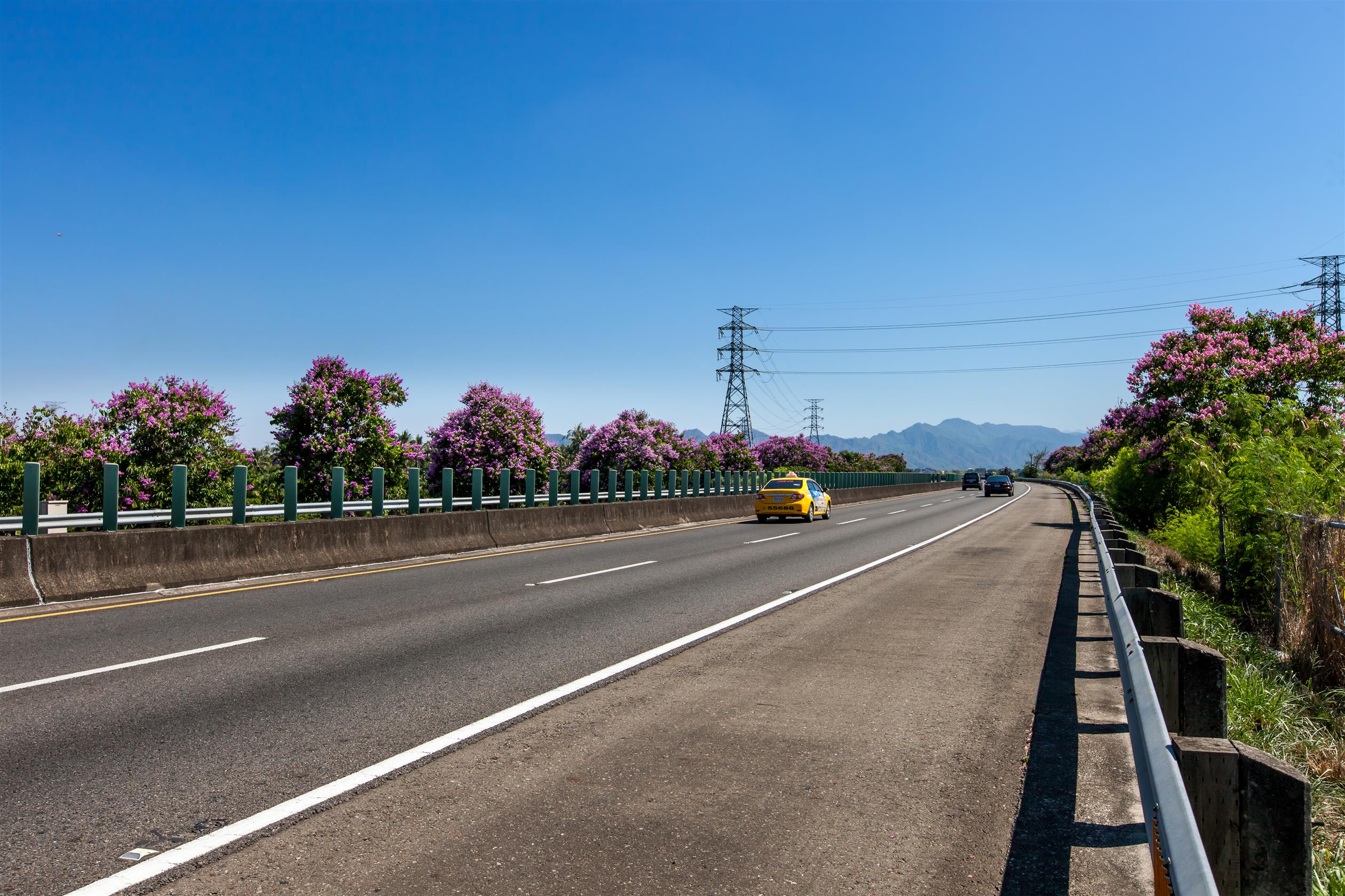 迷人的夏日風情-(110年高速公路好好看員工攝影比賽)