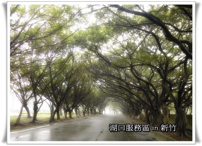 祈福林蔭大道