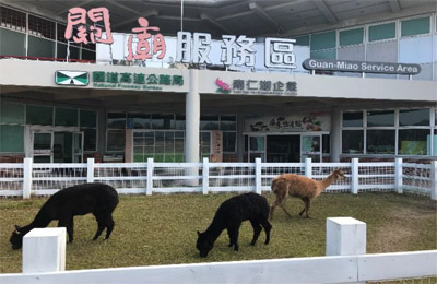 草泥馬公園