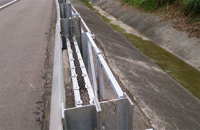 高速公路動物廊道