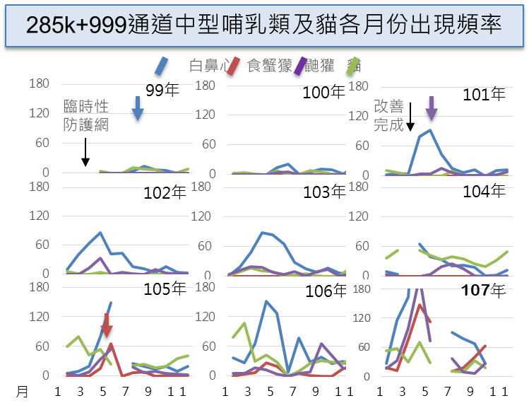 285k+999通道中型哺乳類及貓各月份出現頻率