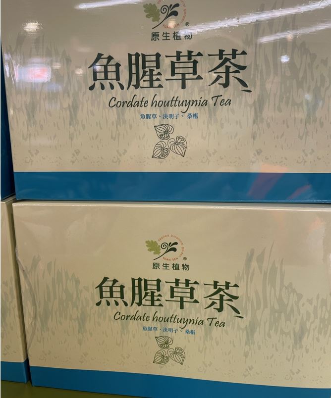 魚腥草茶