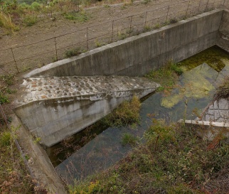 生物坡道(1/2)