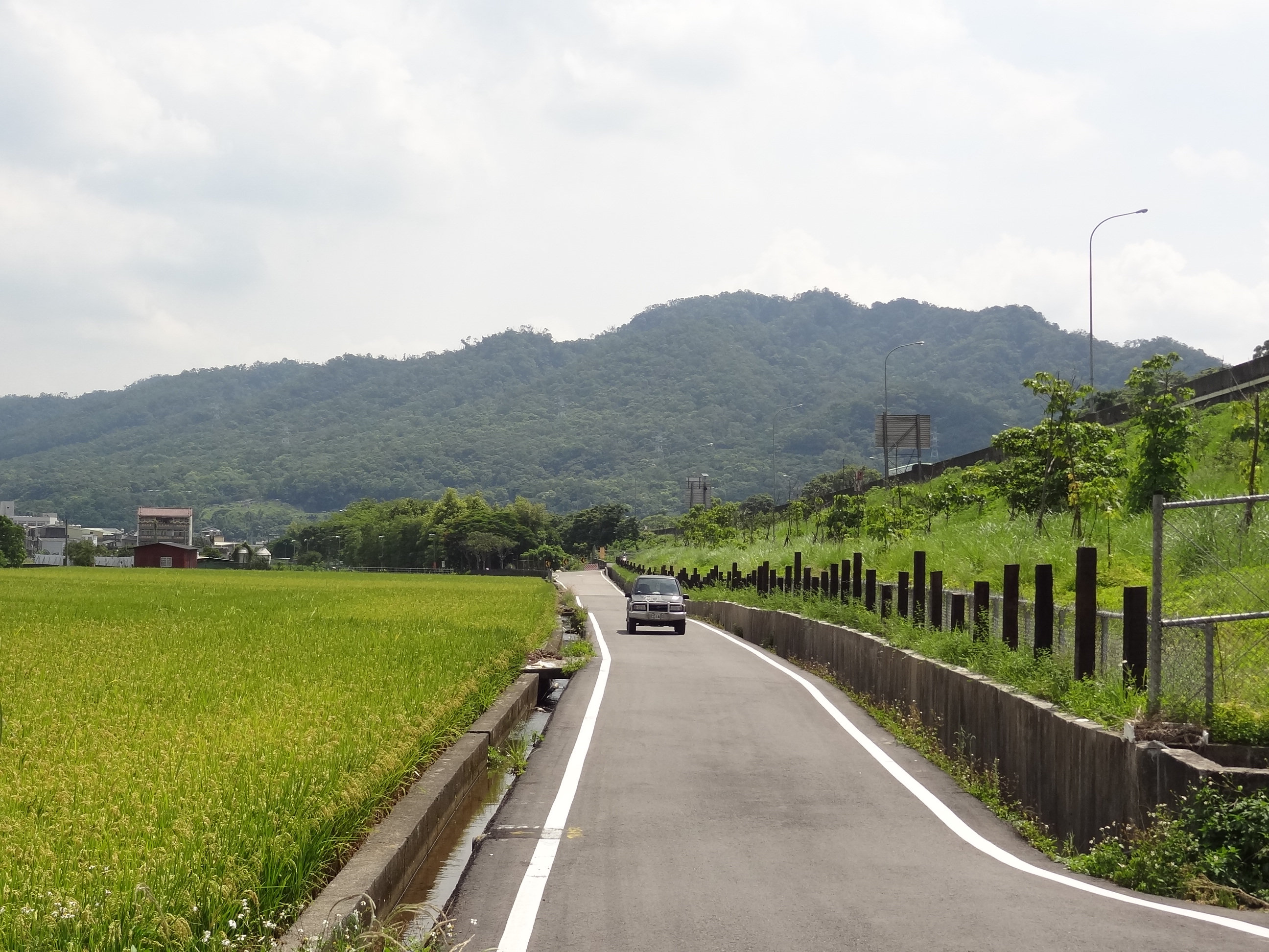 國道1號南下148k邊坡景觀營造(汽車道)